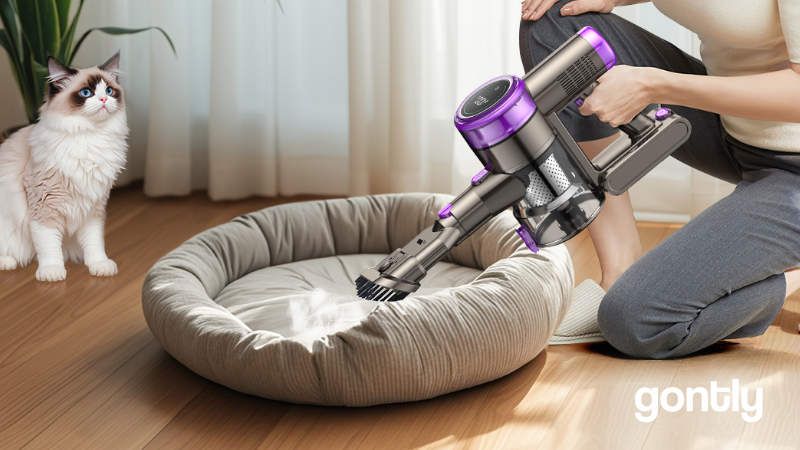Suafsu Aspirateur Balai sans fil Avis