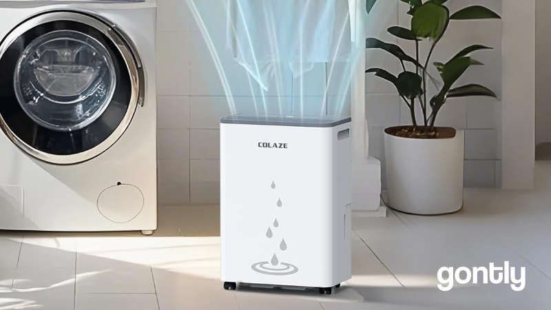 COLAZE Deshumidificateur d air 20L/24h Test