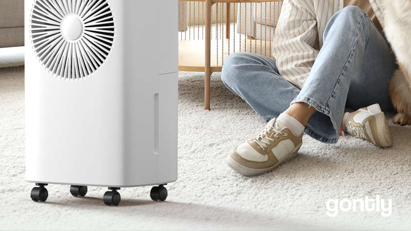 CONOPUPlus Deshumidificateur d air Electrique 12 litres/jour Test