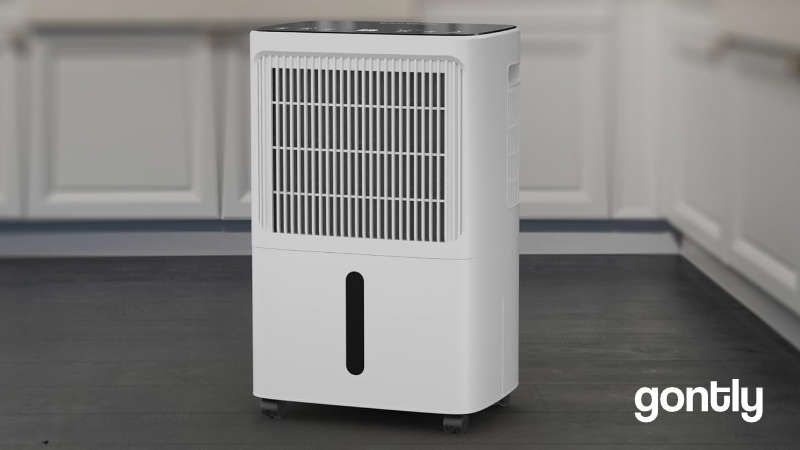 Erikssøn Deshumidificateur D Air Anti moisissure 16l/24 h Test