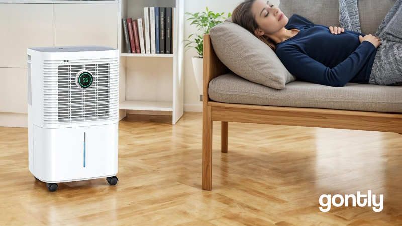 Lire la suite à propos de l’article Innvitop Deshumidificateur 16L Avis