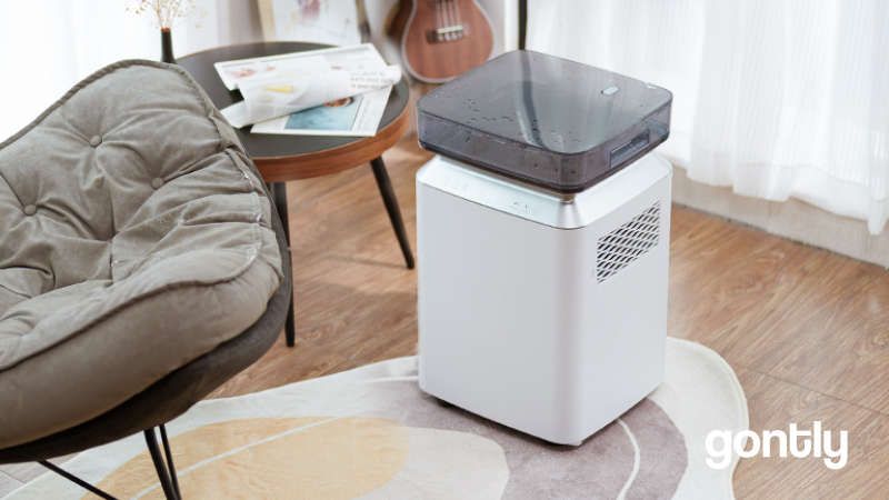 Lire la suite à propos de l’article Kalopsia Déshumidificateur d’Air 80L Avis