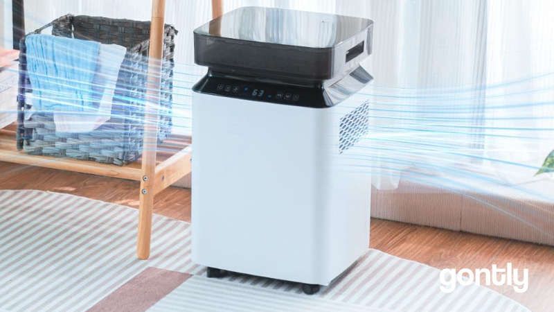 Katenpo Déshumidificateur Électrique 80L/Jour Test