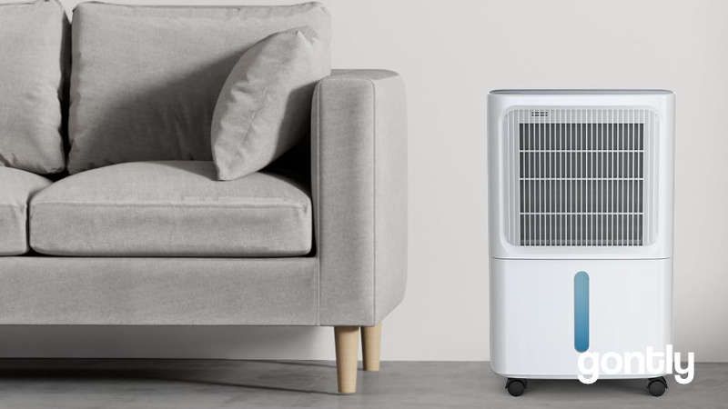 LEENON Deshumidificateur d Air 16L Test