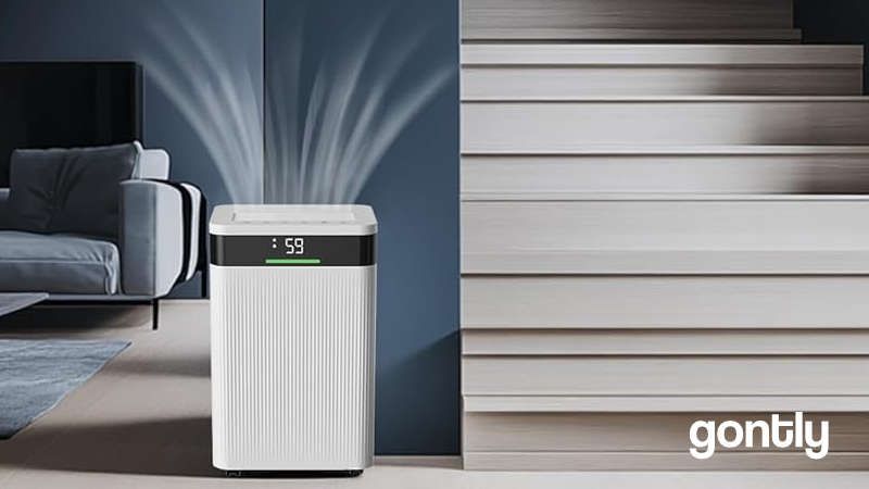 HAUSHOF Déshumidificateur d'Air Electrique 20L/Jou Test