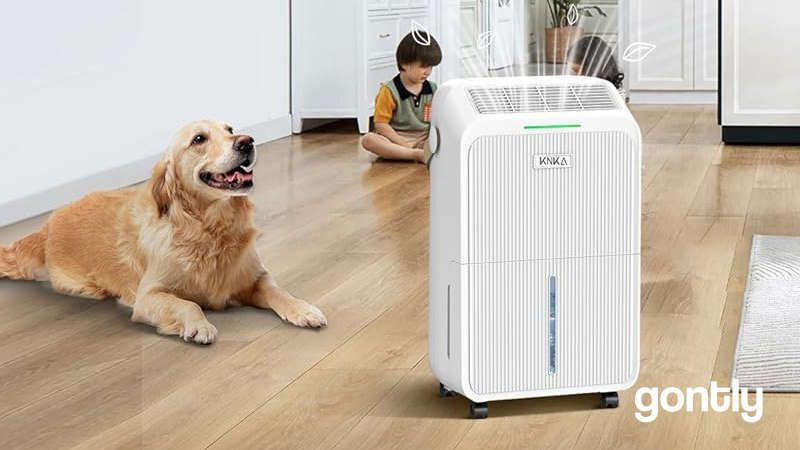 KNKA Deshumidificateur d Air 16L/J Avis