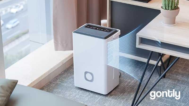 Katenpo Déshumidificateur 65L Test Katenpo Déshumidificateur 65L Test