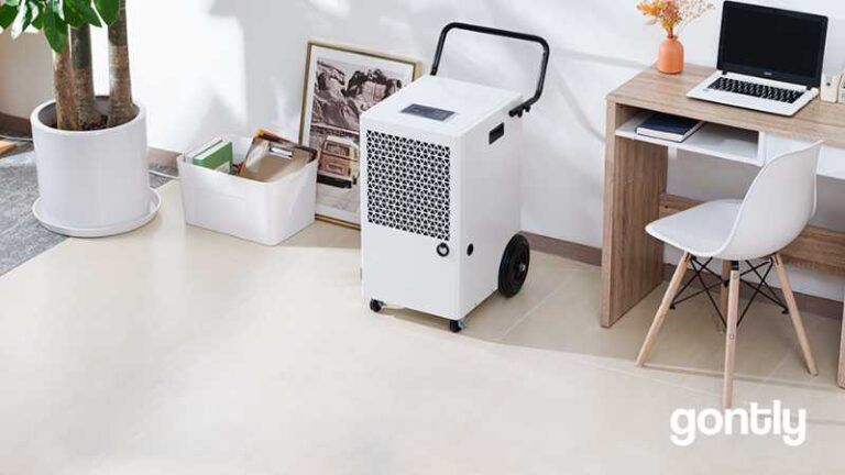 Lire la suite à propos de l’article Megonia 120L Deshumidificateur Avis