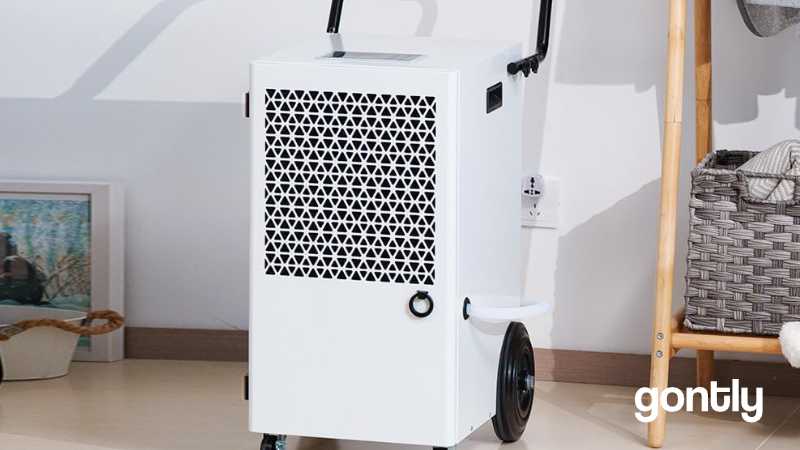 Megonia 120L Deshumidificateur Test