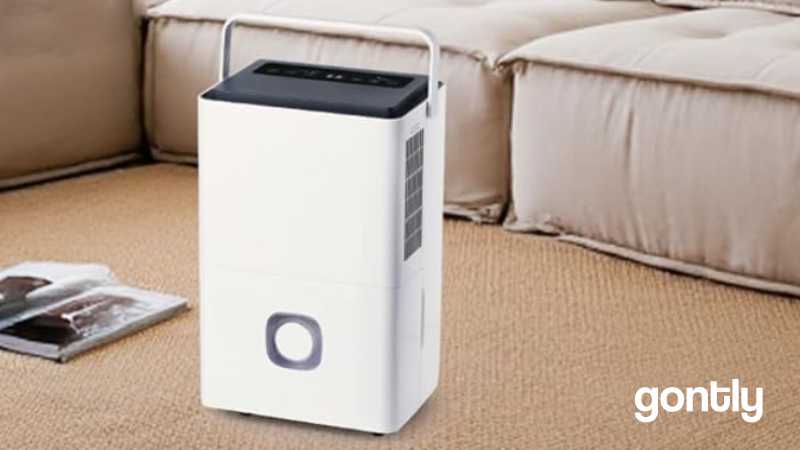 Megonia Déshumidificateur 65L Test