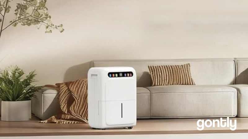 Smeeyo Deshumidificateur 20L/jour Test