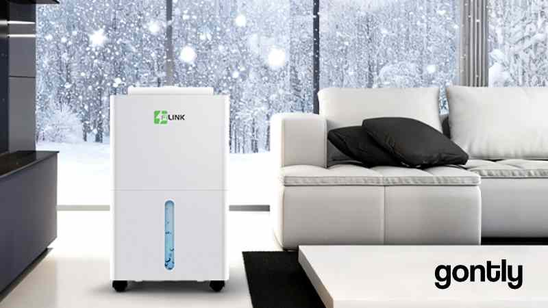 Lire la suite à propos de l’article FILINK Deshumidificateur d Air 9L Avis