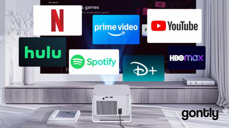 Alwtniet HY350MAX Netflix